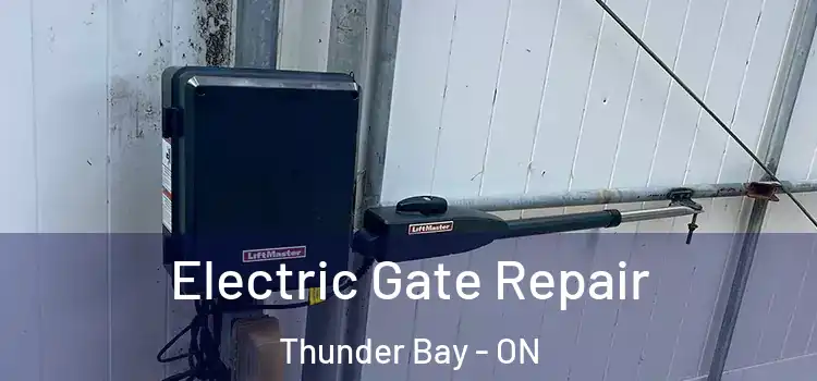 Electric Gate Repair Thunder Bay - ON