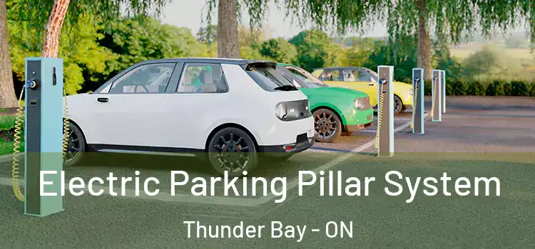  Electric Parking Pillar System Thunder Bay - ON