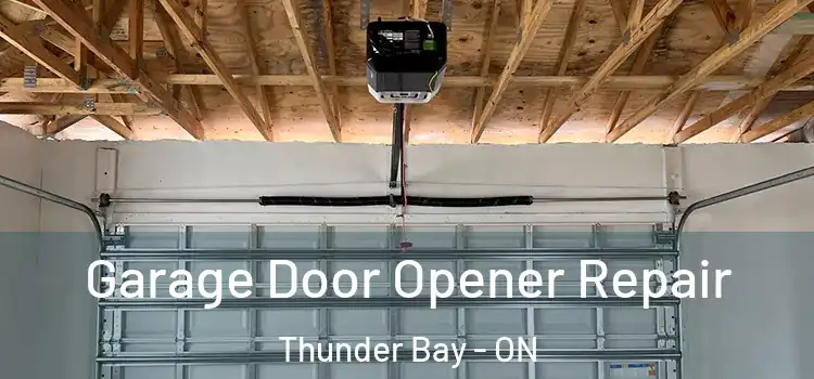 Garage Door Opener Repair Thunder Bay - ON