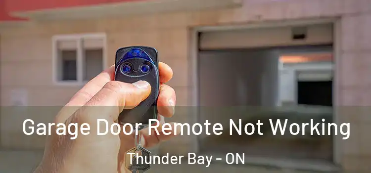  Garage Door Remote Not Working Thunder Bay - ON