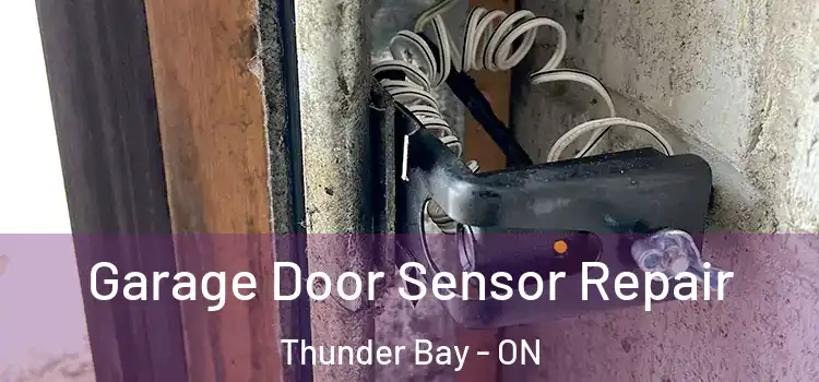 Garage Door Sensor Repair Thunder Bay - ON
