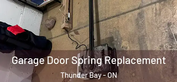  Garage Door Spring Replacement Thunder Bay - ON