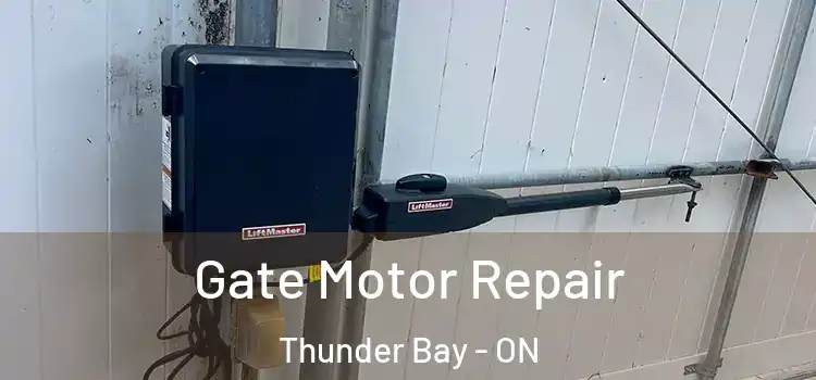 Gate Motor Repair Thunder Bay - ON