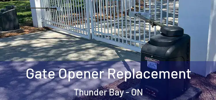  Gate Opener Replacement Thunder Bay - ON