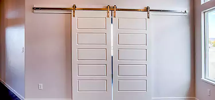 Glass Barn Door with Installation Hardware Kit Thunder Bay