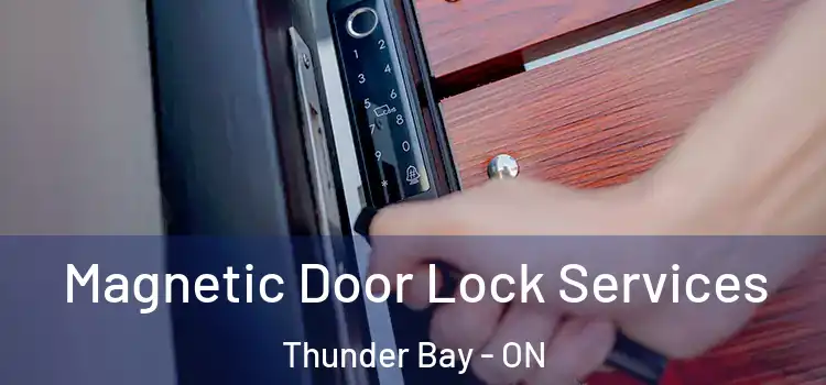 Magnetic Door Lock Services Thunder Bay - ON