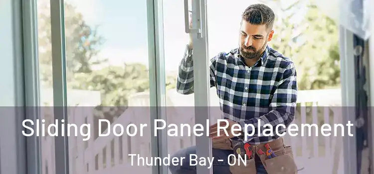  Sliding Door Panel Replacement Thunder Bay - ON