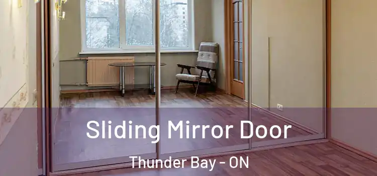  Sliding Mirror Door Thunder Bay - ON